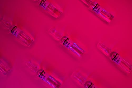 Free Layout of doses of coronavirus vaccine in glass transparent vials placed on bright fuchsia background in studio Stock Photo