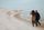 couple walking on beach