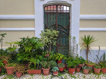 Iron gate framed by potted plants, photo by Mariana Suchodolski on Pexels
