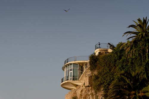 Viewpoint on Cliff