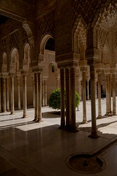 Intricate architectural design featuring columns and arches with dramatic sunlight and shadows.