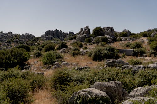 Hillside with Rock Formations