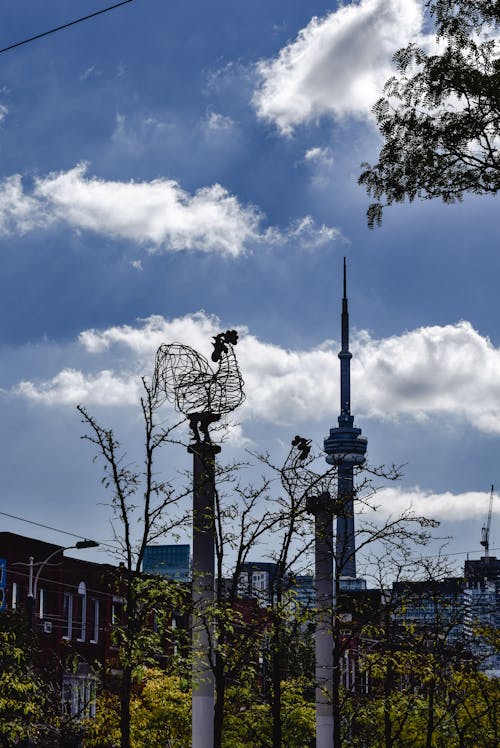 Schwarze Straßenlaterne Unter Bewölktem Himmel