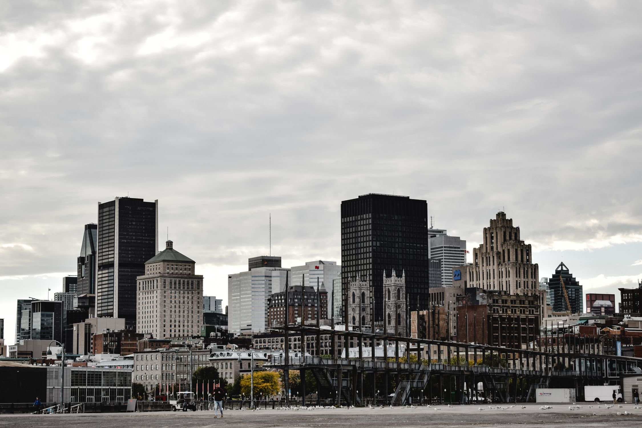 Montreal's iconic skyline featuring diverse architectural styles and prominent skyscrapers.