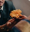Crop well dressed son giving blossoming Gerbera to mom