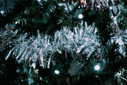 Close Up of Illuminated Christmas Tree 