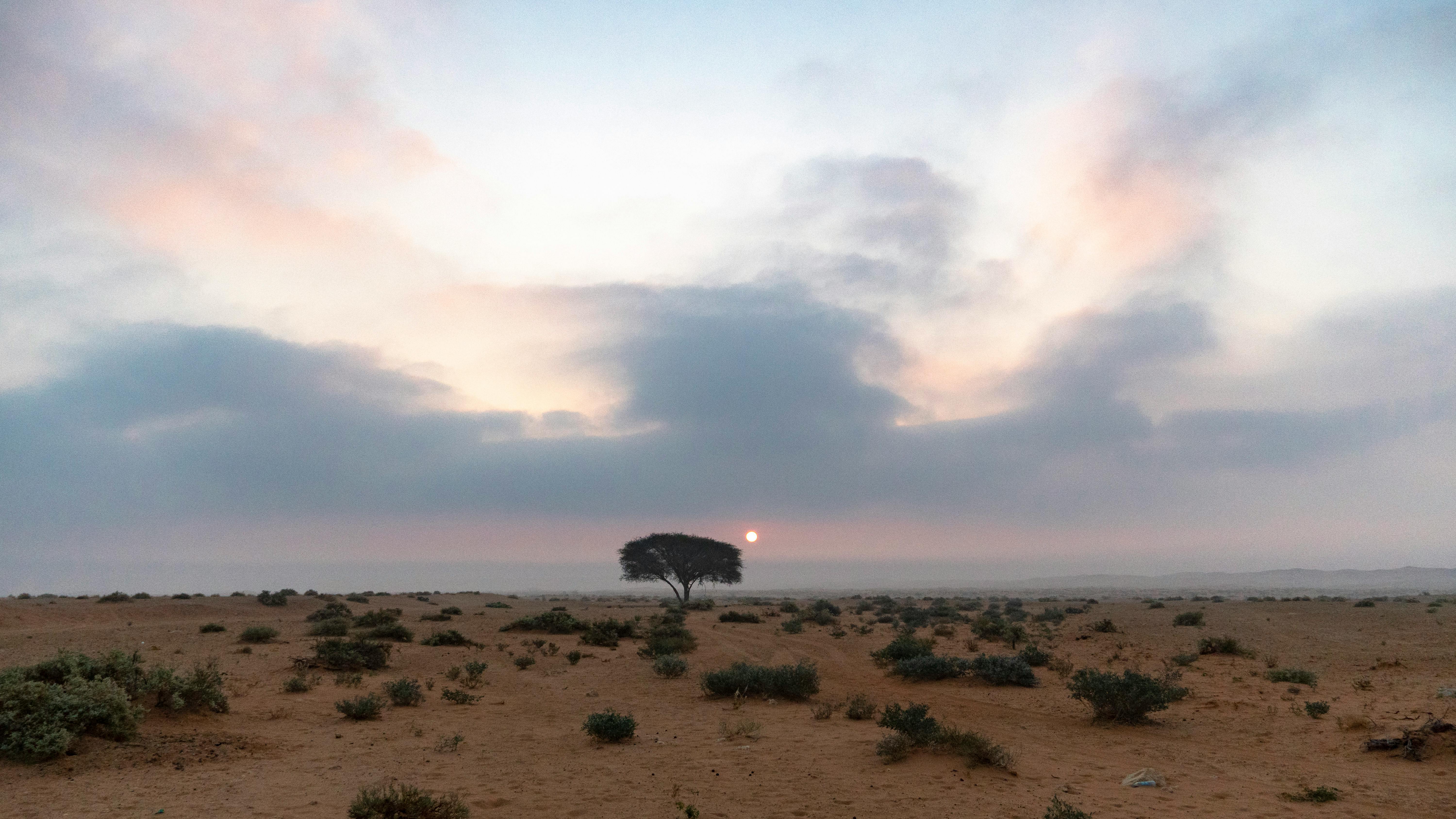 Close-up of legal documents and a gavel symbolizing family court proceedings