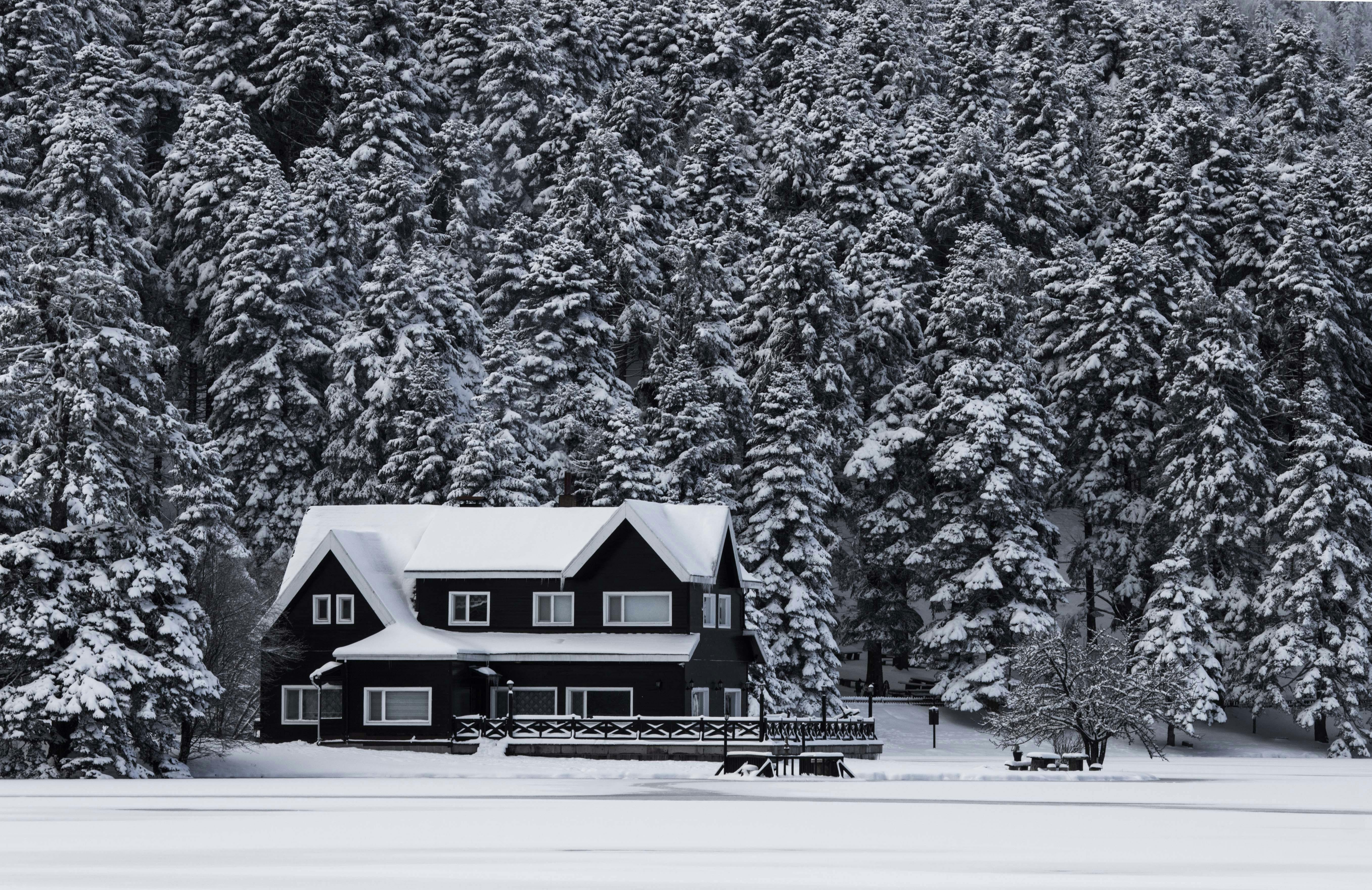 snowy house