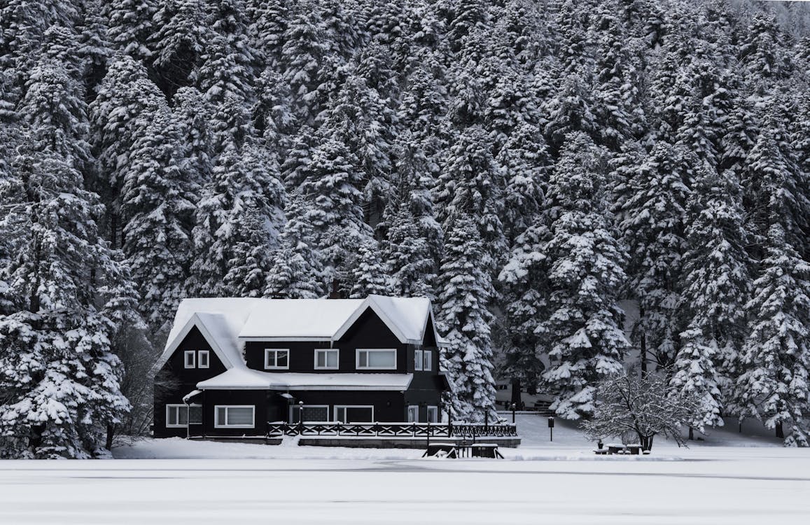 Gratuit Imagine de stoc gratuită din acasă, alb, arbori Fotografie de stoc