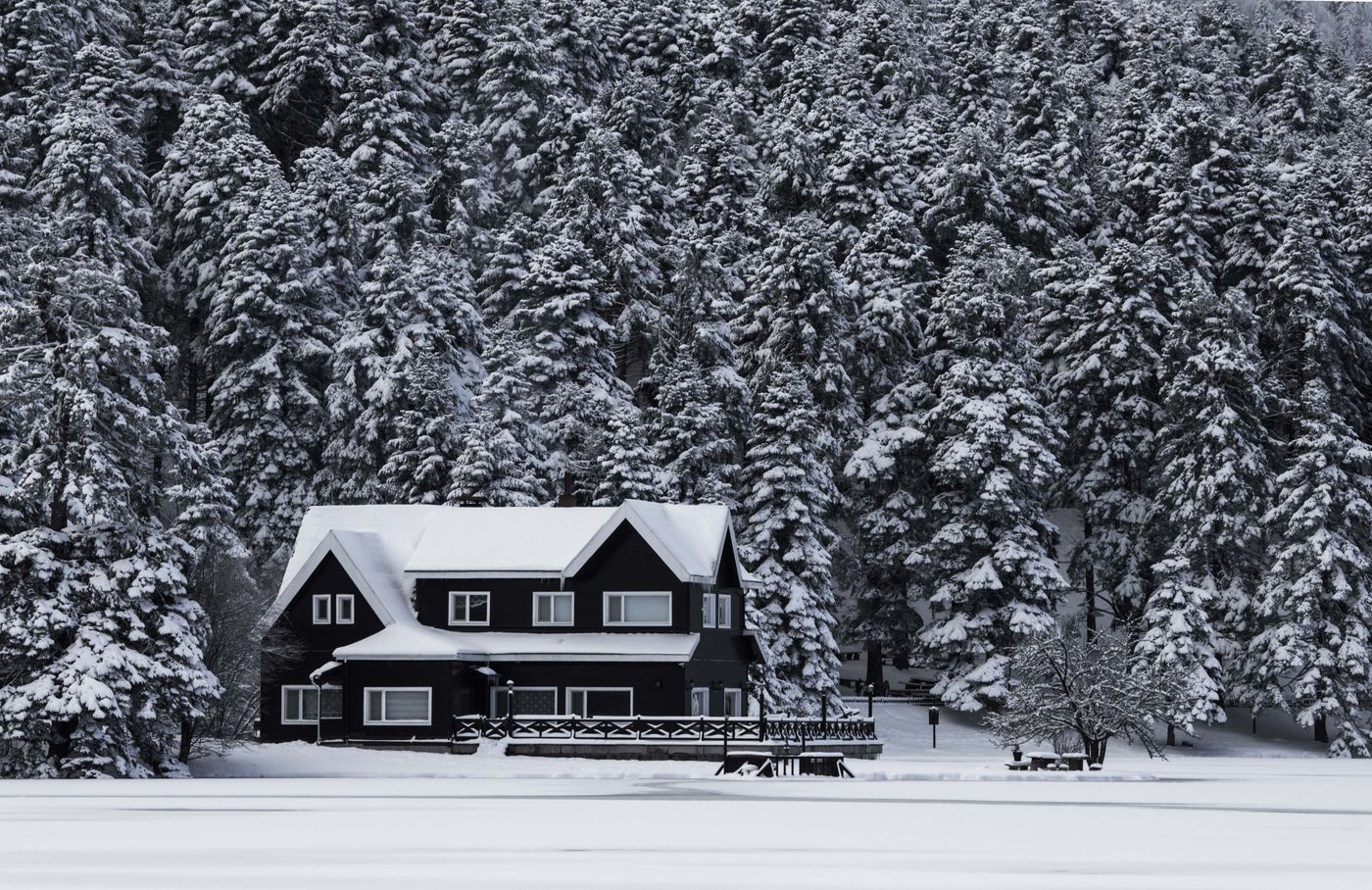 Frozen Septic Lines: How to Prevent Them and What to Do If They Freeze