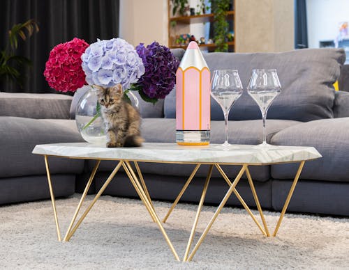 Little cat sitting on side table with hydrangeas in vase and wineglasses in room with soft couch in decorated living room