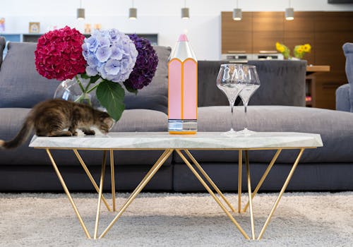Interior of modern room with elegant table with flowers and glasses near vase with colorful artificial flowers and small kitten