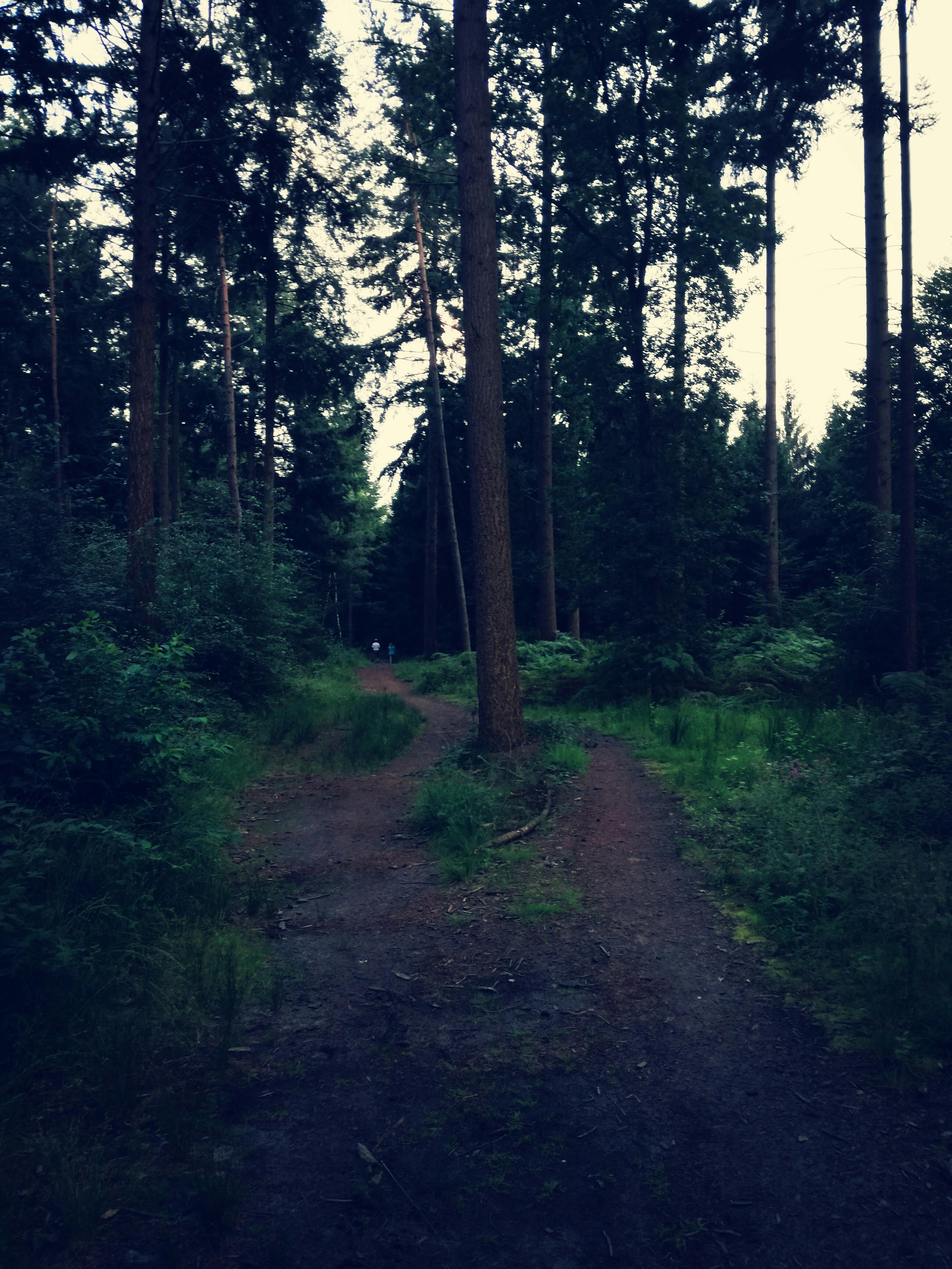 mobile screenshot examples