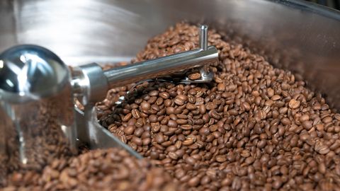 Freshly roasted coffee beans cooling in a metal drum, showcasing an industrial process.