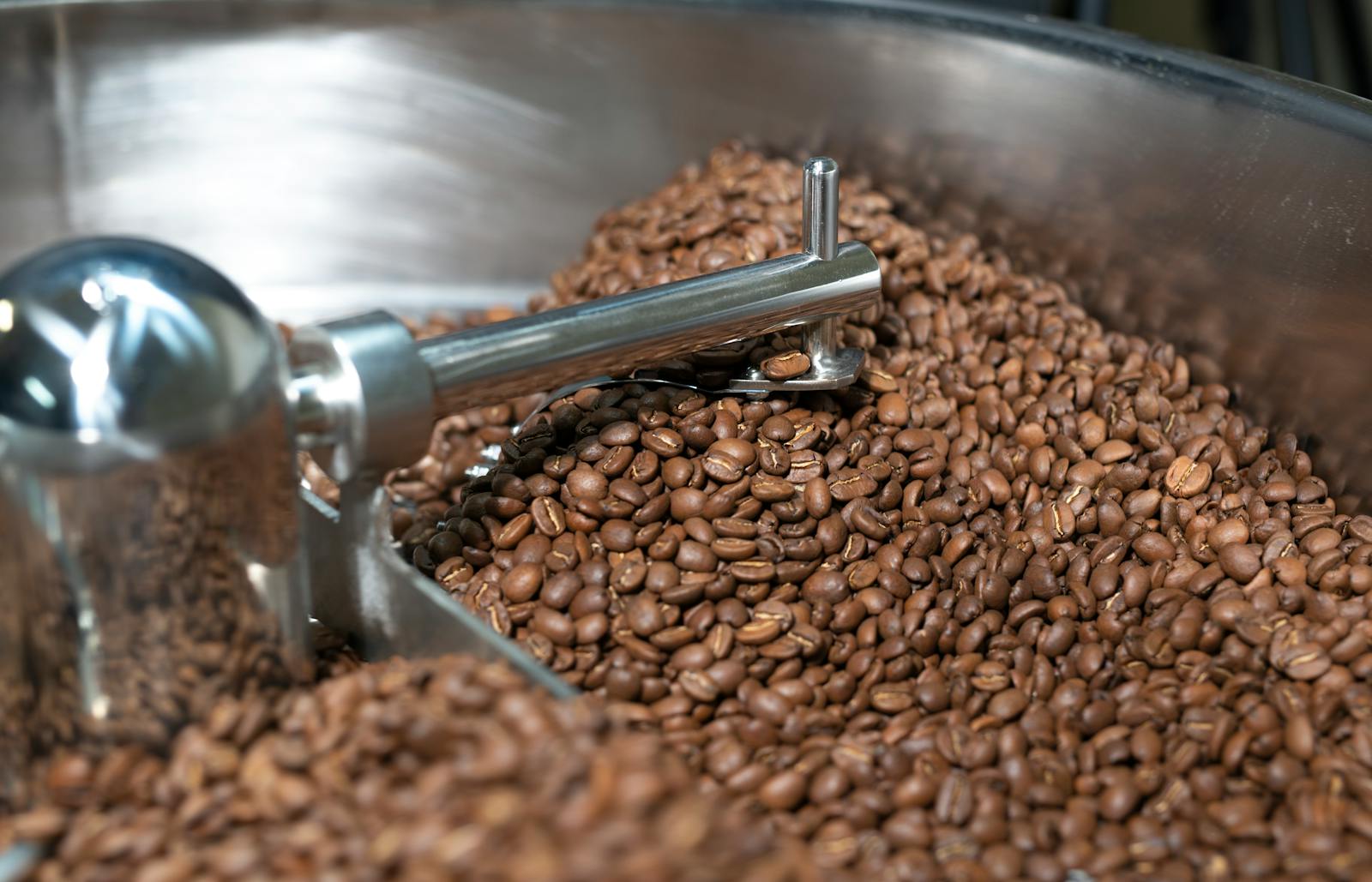 Coffee beans cooling after roasting in a metal container