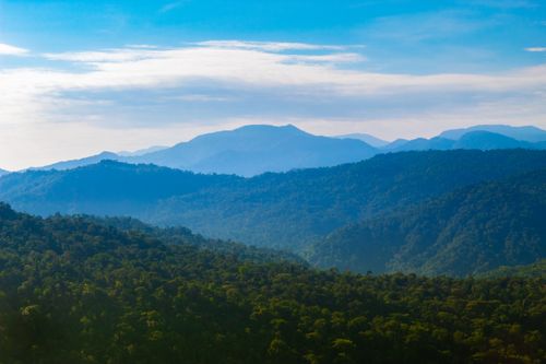 Free Serene view of lush green mountains under a clear blue sky, perfect for nature lovers. Stock Photo
