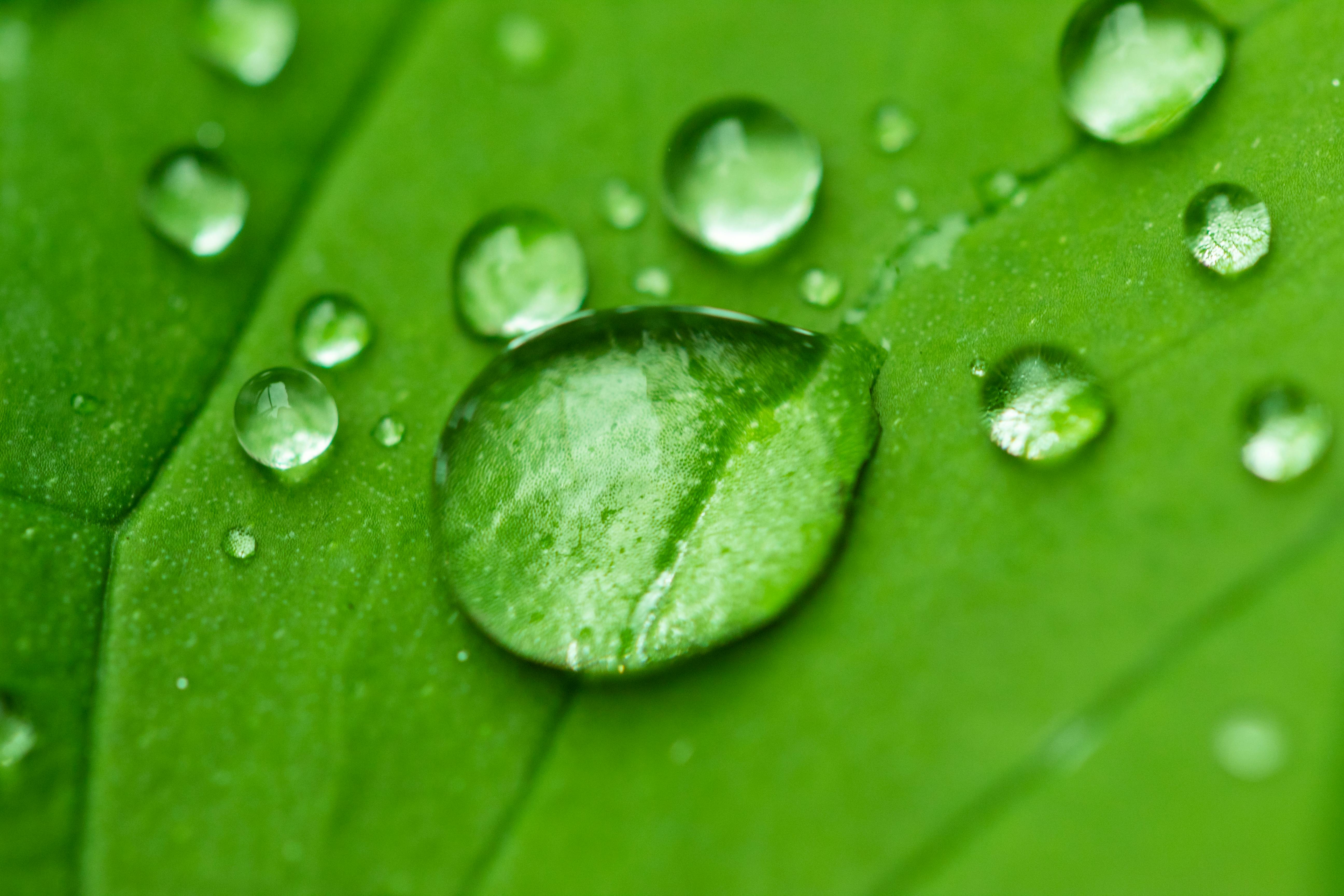 Sustainability of green hydrogen technologies depends on energy mix and supply chain — Photo by Emanuel Rodríguez on Pexels