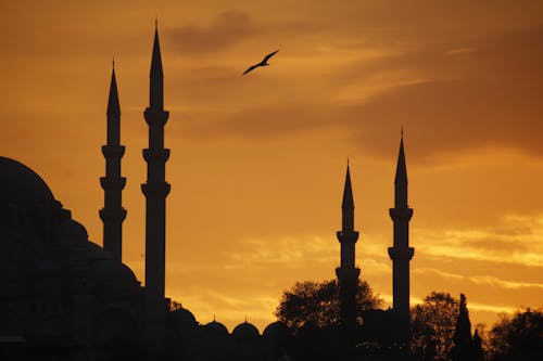 Gratis stockfoto met dageraad, gouden uur, minaretten