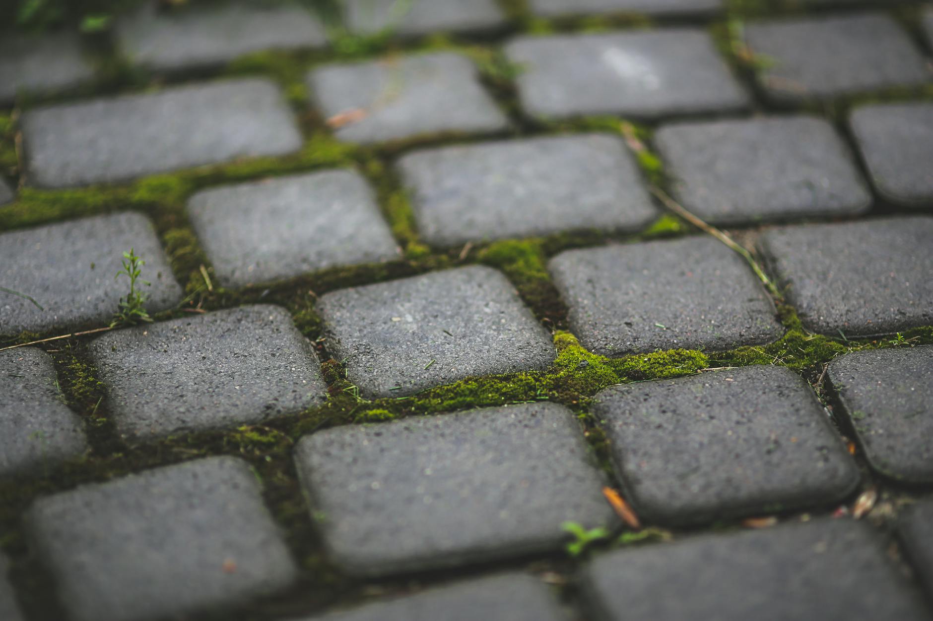 paver patio stones
