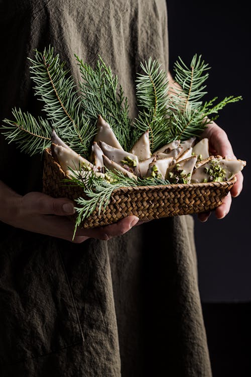 Personne Tenant Une Plante Verte Et Brune