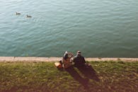 午后温暖的阳光下，两个人坐在宁静的湖边，看着鸭子游过