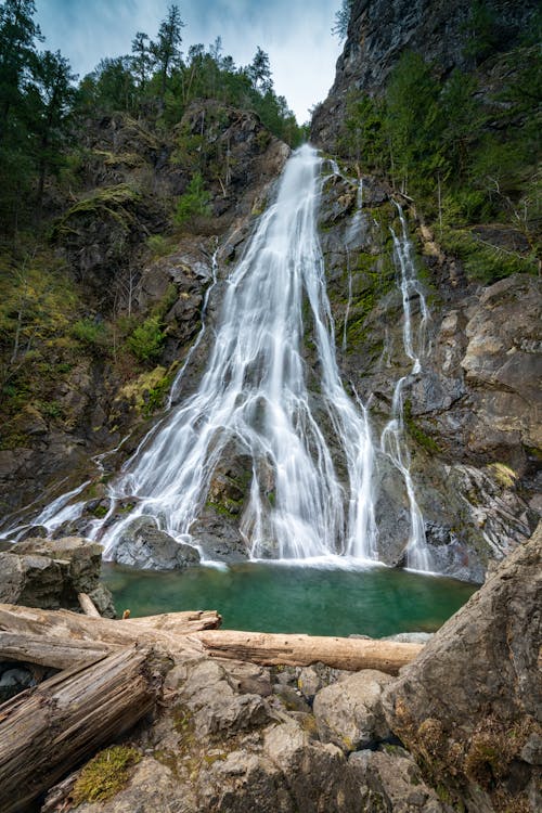 Scenic View of a Waterfall in the Forest