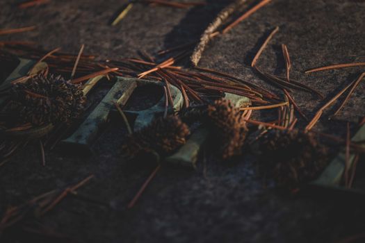 From above of letters on neglected concrete memorial with dry branches and weathered flowers placed on street under shadow in evening time