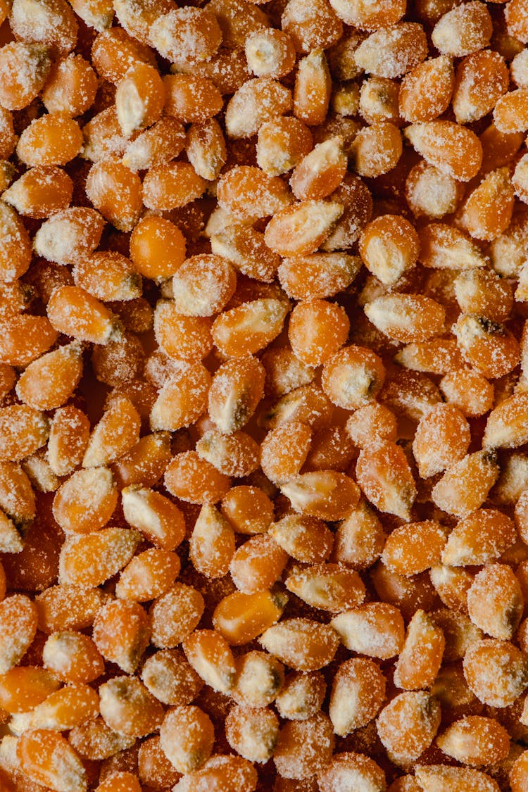 Salted Popcorn Bits In Close-up