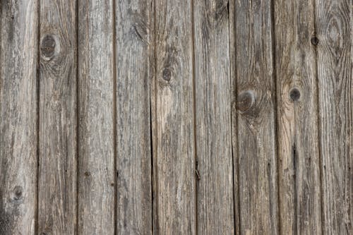 Close-Up Shot of a Wooden Surface