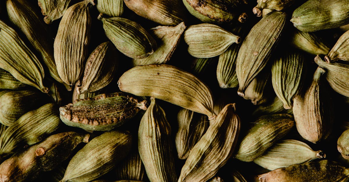 Can You Eat Jackfruit Seeds 3  How to Cook Jackfruit Seeds