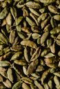 Pile of Green Cardamoms