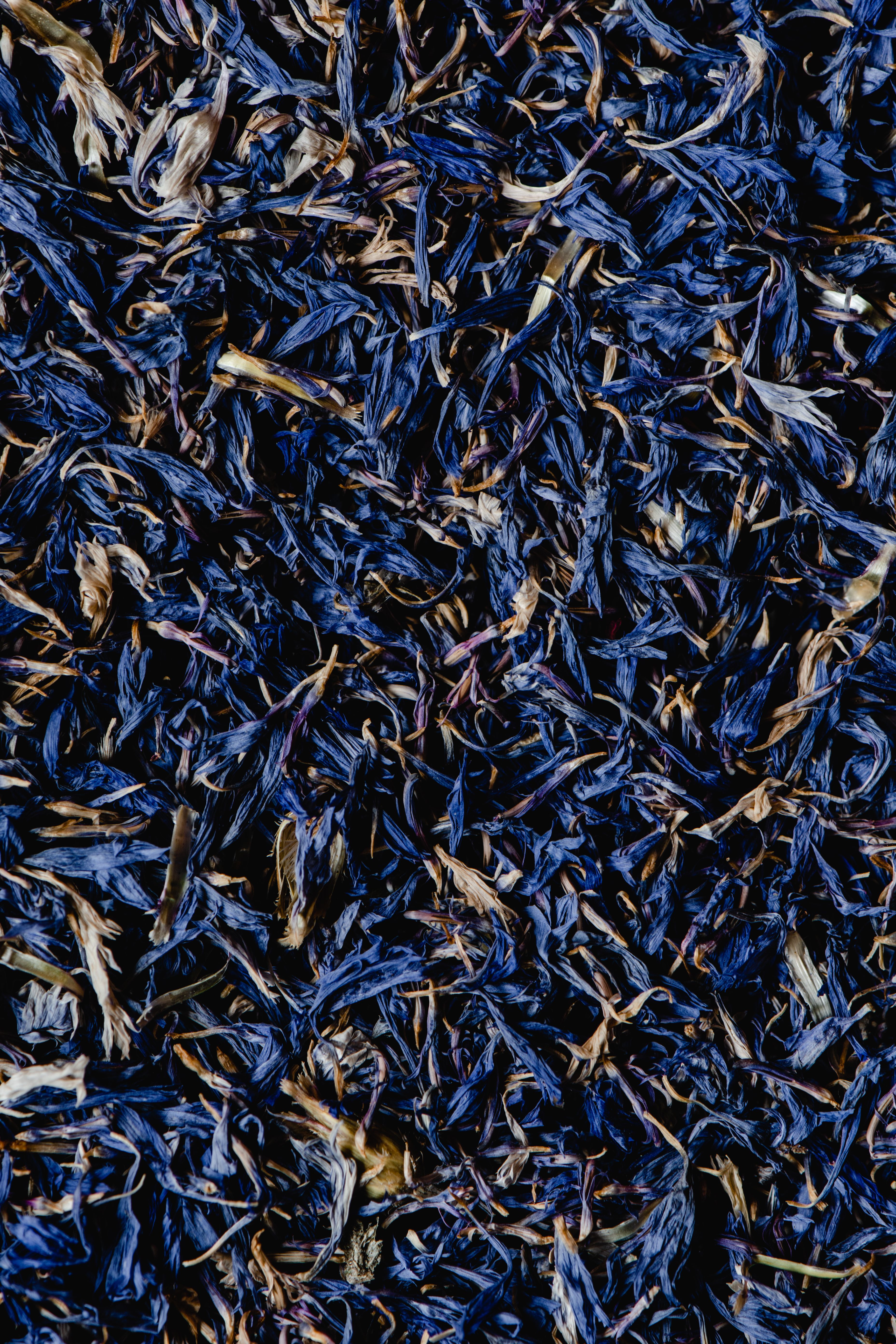 Detailed close-up view of dried blue petals creating a textured background, ideal for design use.