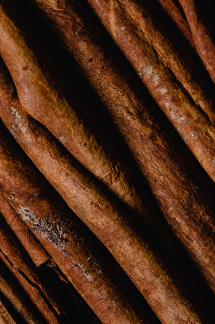 Detailed close-up of brown cinnamon sticks showcasing their aromatic woody texture.