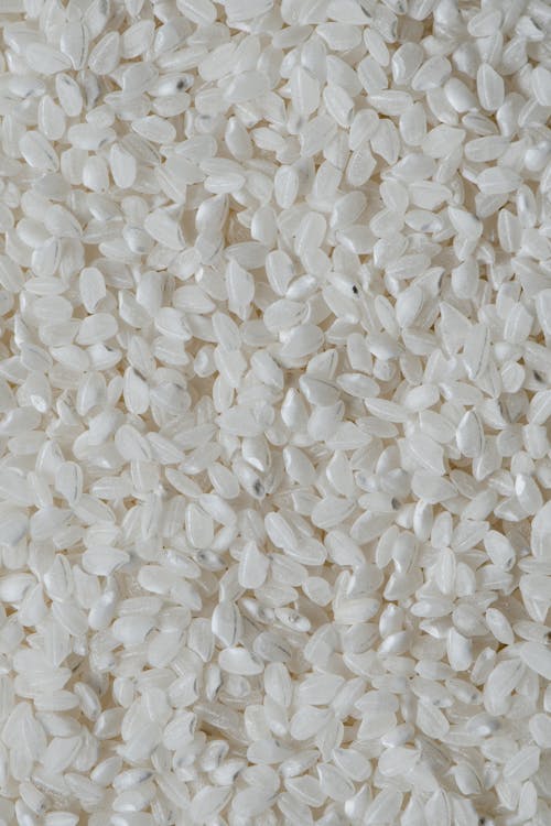 Free Close-Up Shot of Grains of Rice Stock Photo
