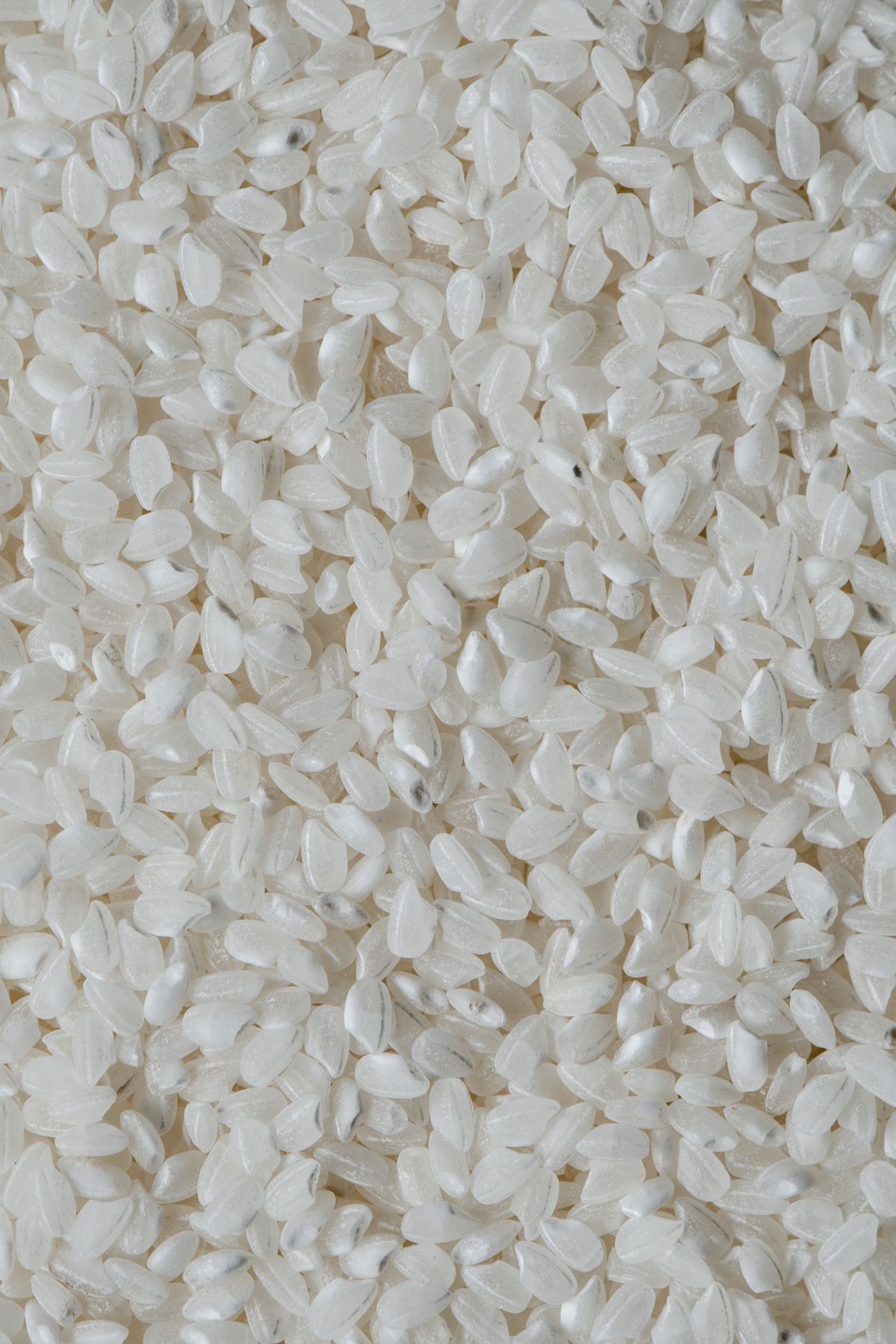 Indian Long Grain White Rice