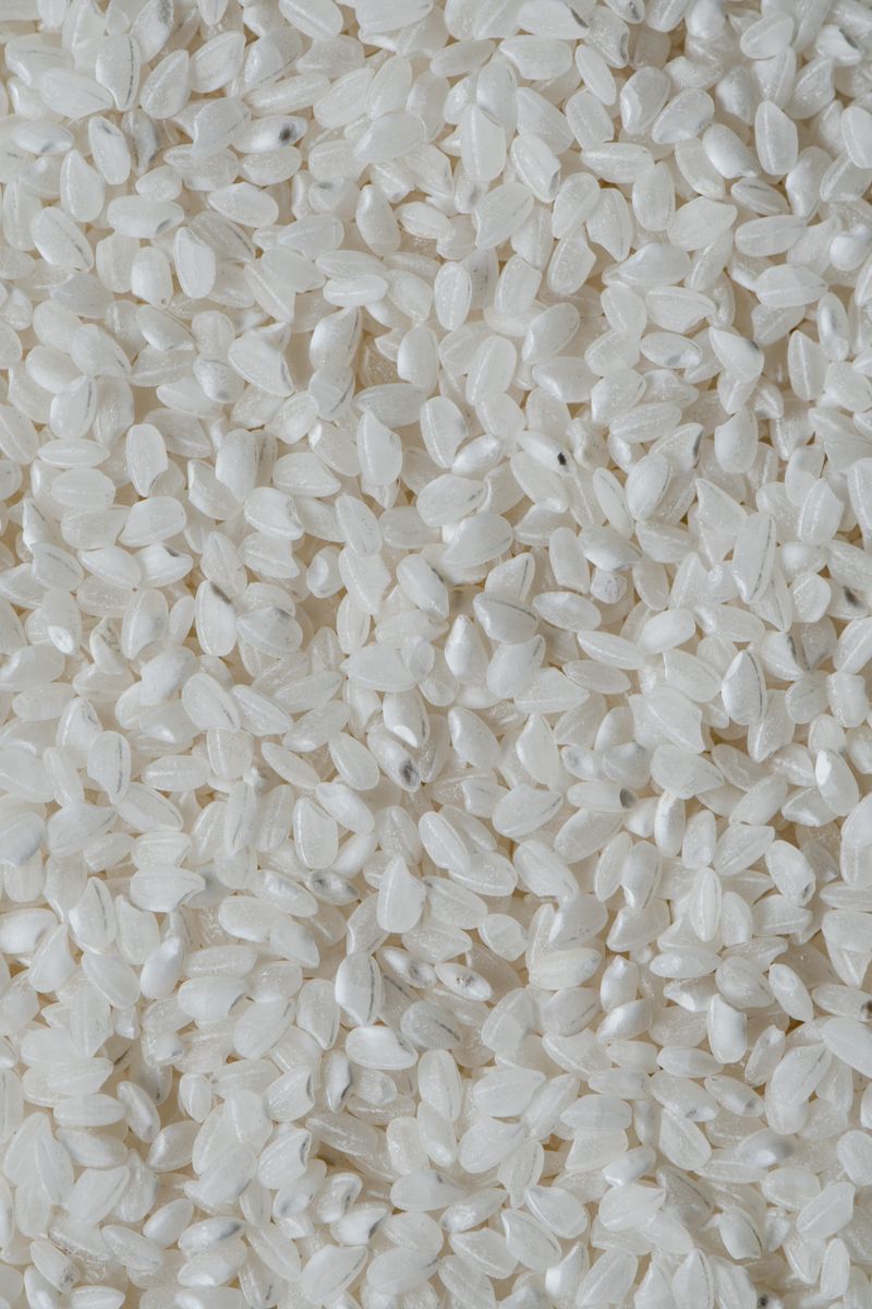 Non-Basmati Rice