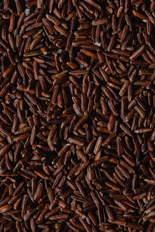 Free Close-Up Shot Red Rice Grains Stock Photo