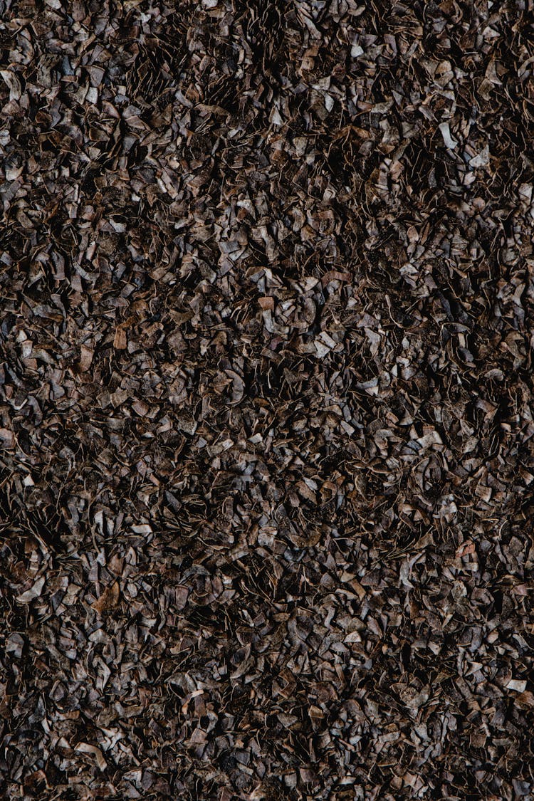 Close-Up Shot Of Buckwheat Bran