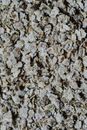 White and Brown Stone Fragments