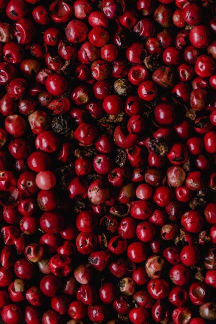A detailed close-up of organic pink peppercorns showcasing their vibrant texture and color.