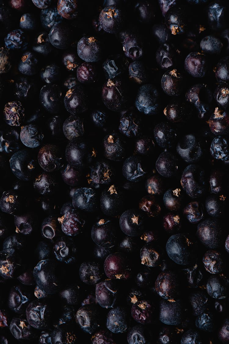 Bunch Of Black Round Berries