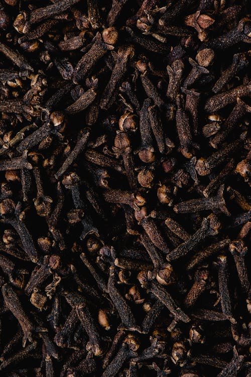 Free Dried Cloves in Close-up Shot Stock Photo