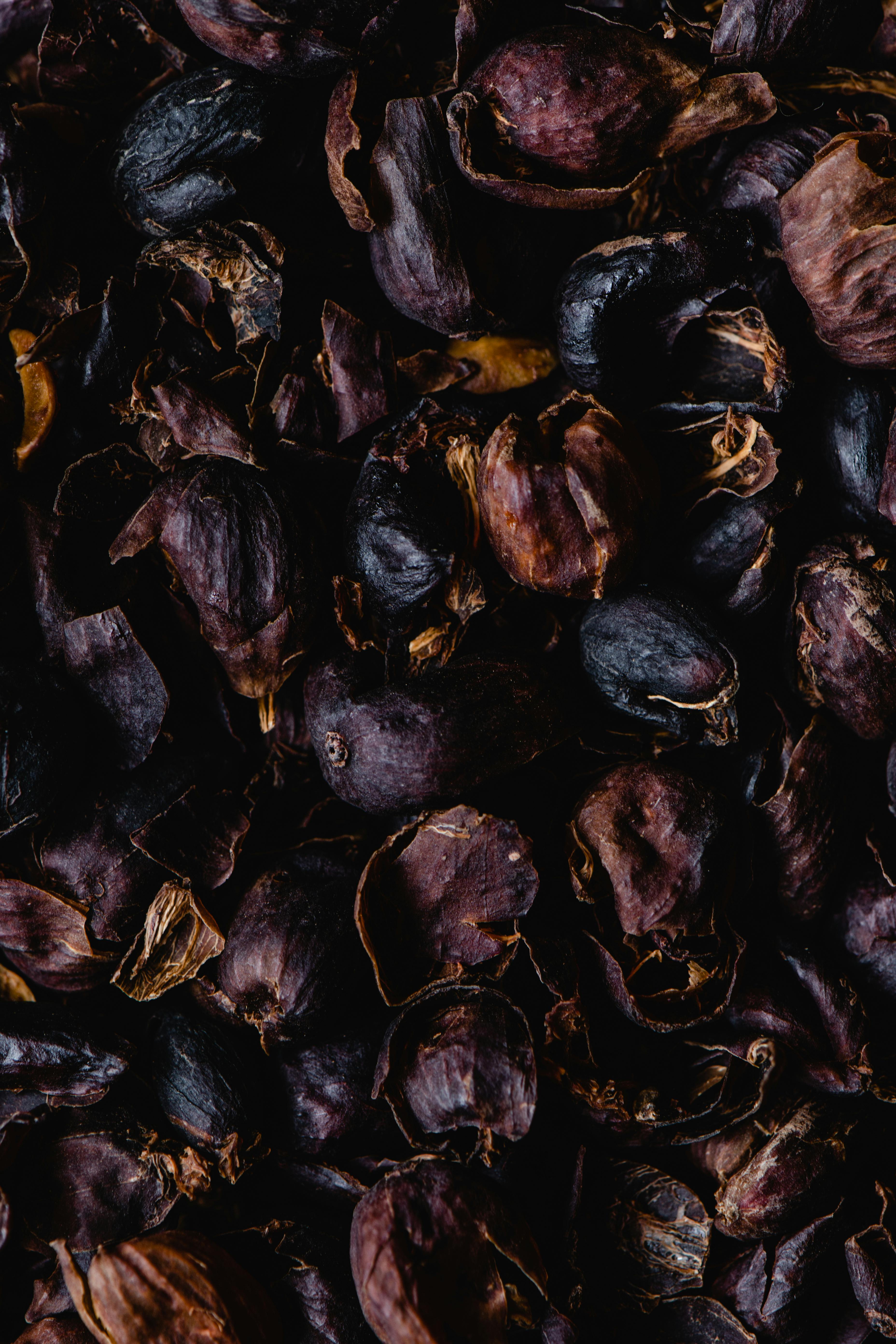 CloseUp Shot of Dried Coffee Cherry Skin · Free Stock Photo