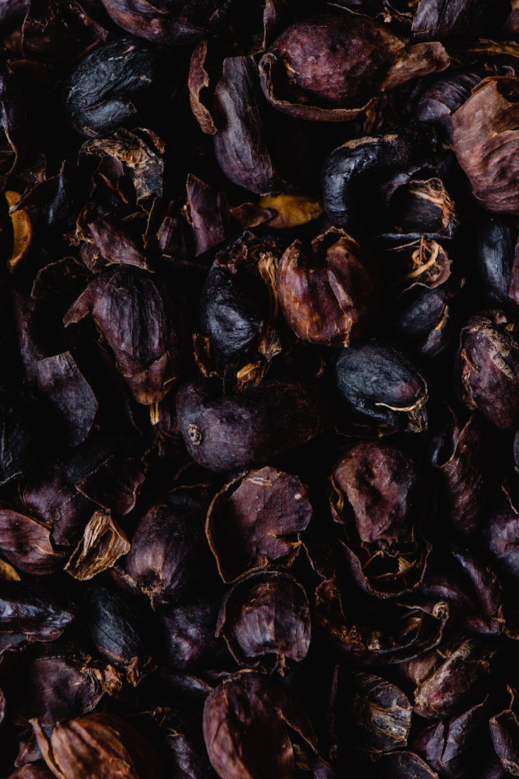 Close-Up Shot Of Dried Coffee Cherry Skin