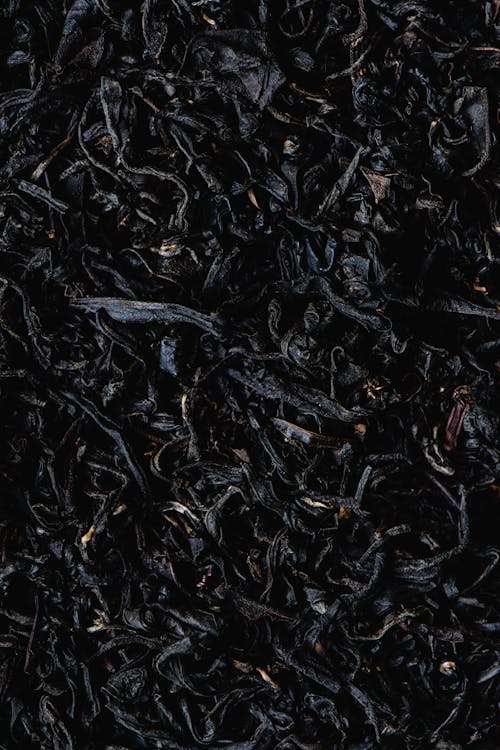 Free Close-Up Shot of Dried Tea Leaves Stock Photo