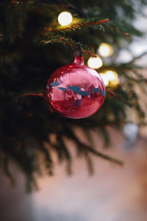 gratis Rode Kerstbal Opknoping Op De Kerstboom Stockfoto