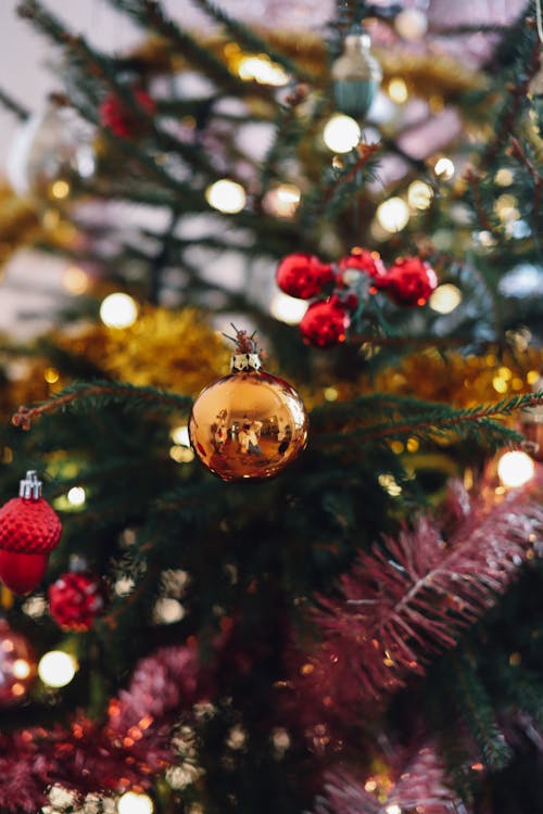 Free Gold Bauble on Christmas Tree Stock Photo