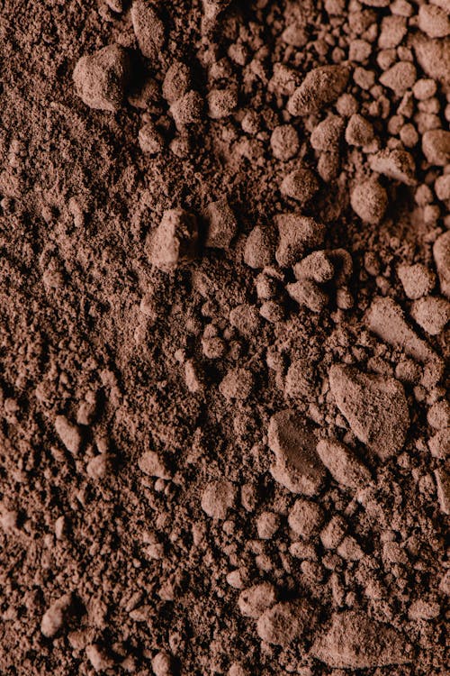 Stones Covered with Brown Soil 