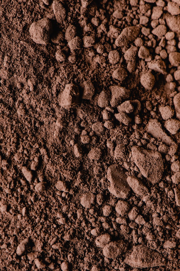 Stones Covered With Brown Soil 