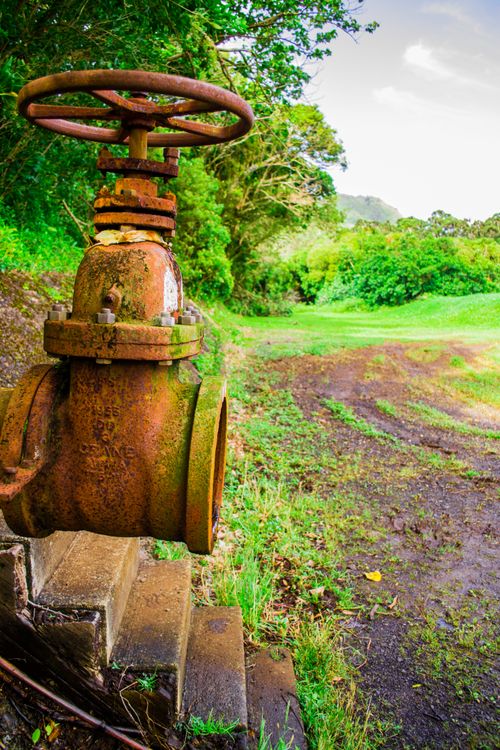 Free stock photo of hawaii, nature, pipe Stock Photo
